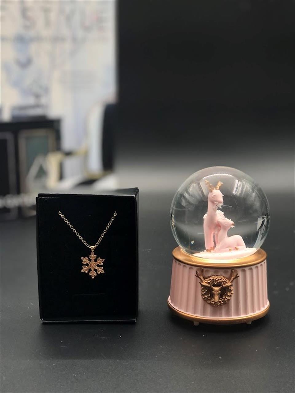 zirkon kolye ve mini küre  anneme anneler günü hediyesi eşe sevgiliye doğum günü hediyesi 