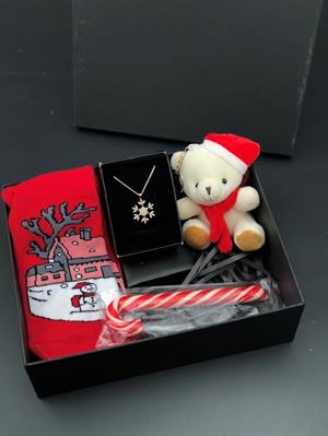 özel kutu içerisinde yeni yıl hediyesi seti