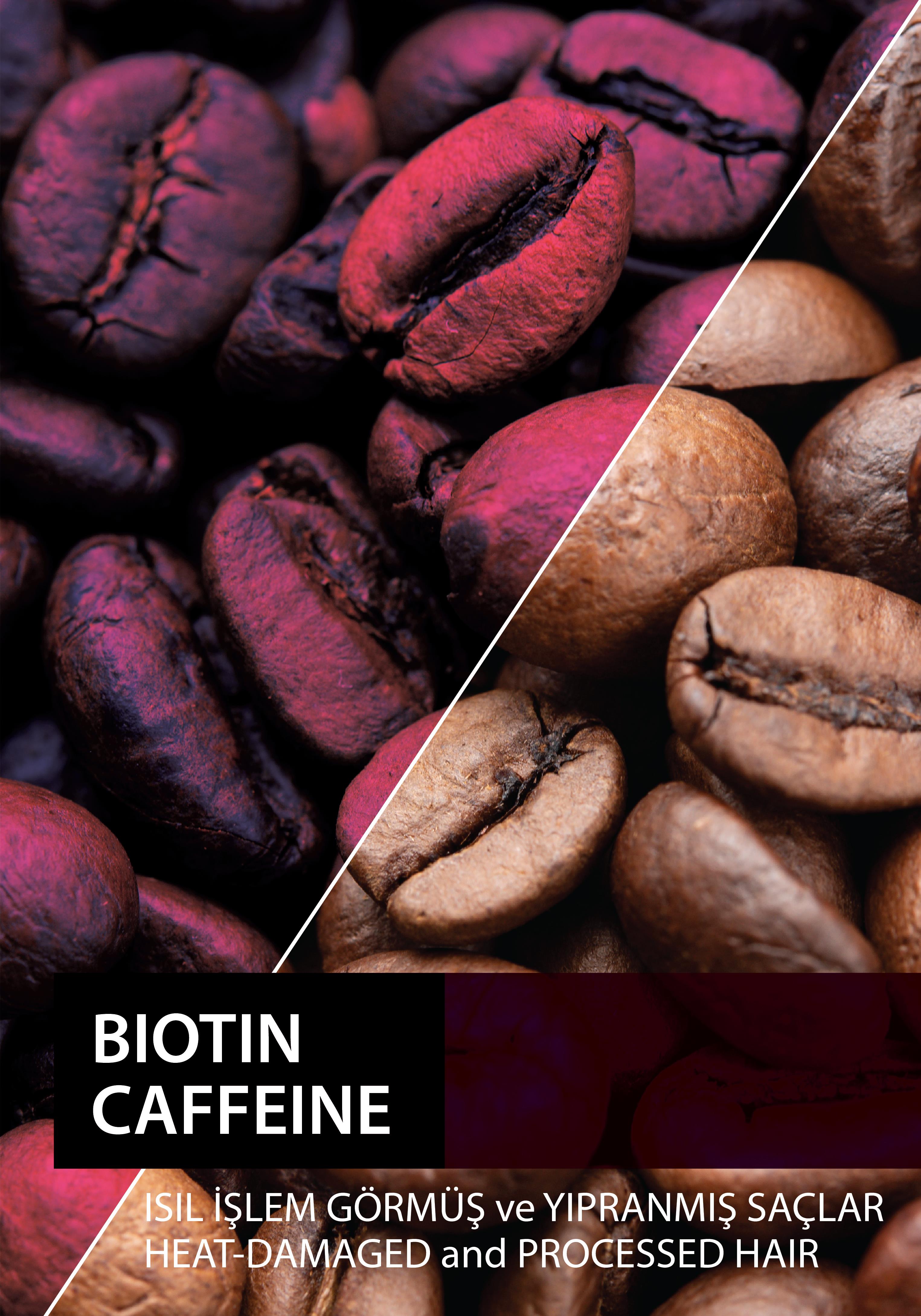 Dermoday Biotin Kafein Şampuan - Isıl İşlem Görmüş ve Yıpranmış Saçlar