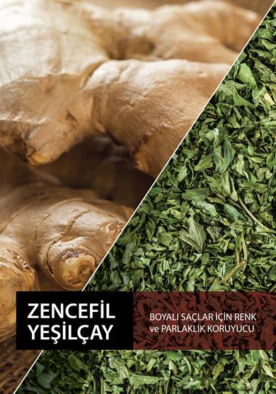 Dermoday Zencefil Yeşil Çay Sıvı Saç Kremi - Boyalı Saçlar