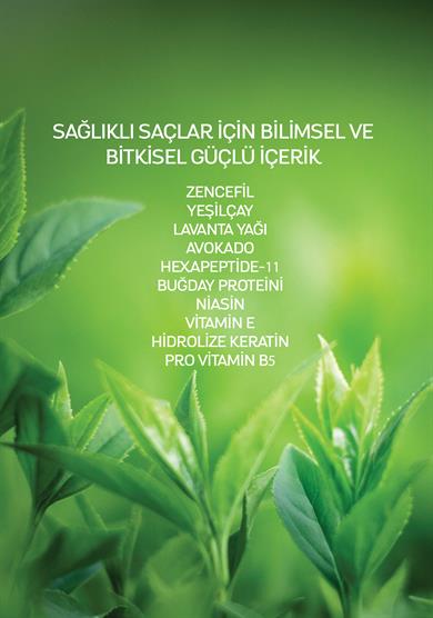 Dermoday Zencefil Yeşilçay Şampuan - Boyalı Saçlar