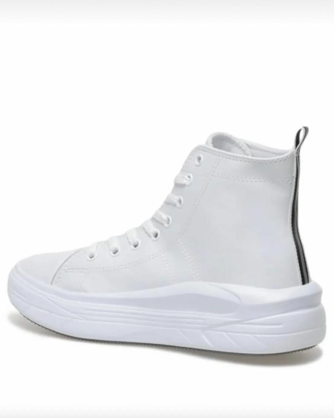 US CLEMENTINE 36-40 SPOR BOT
