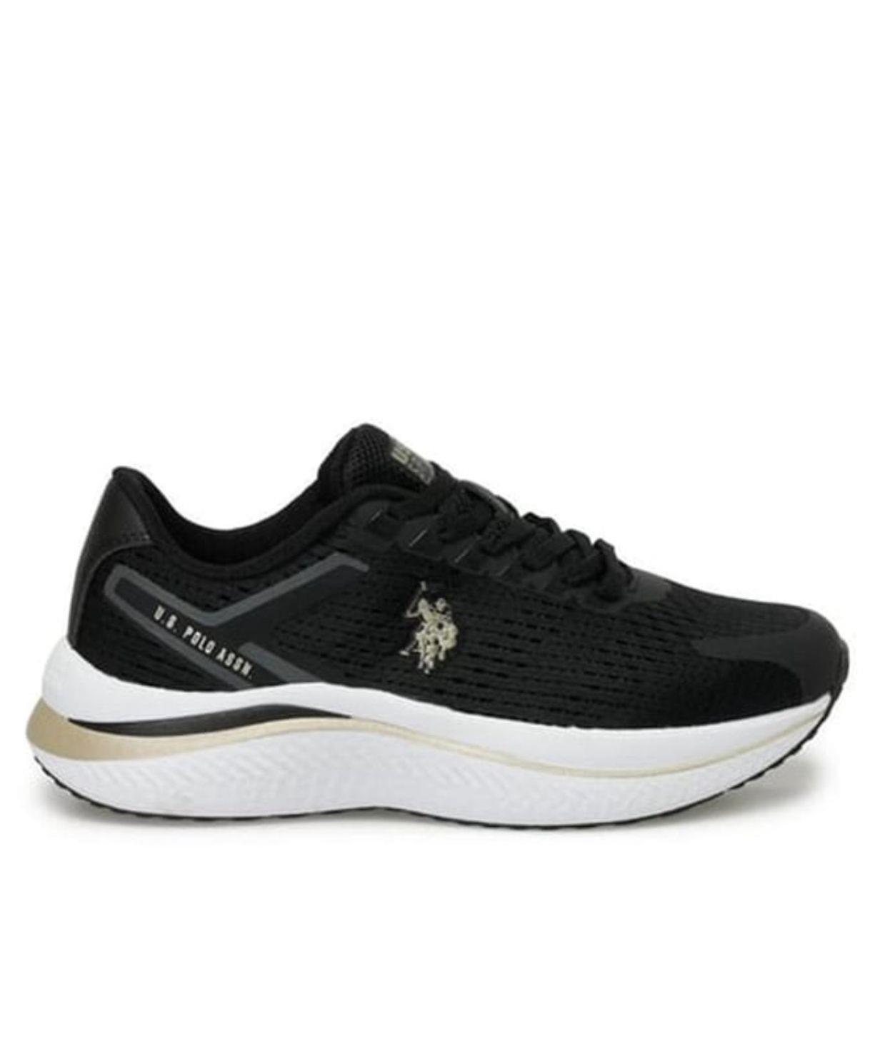 US GENESIS 36-40 SPOR