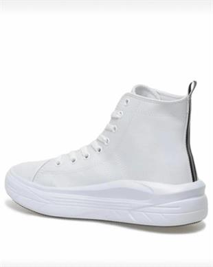 US CLEMENTINE 36-40 SPOR BOT