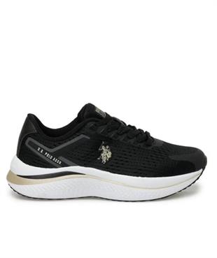 US GENESIS 36-40 SPOR