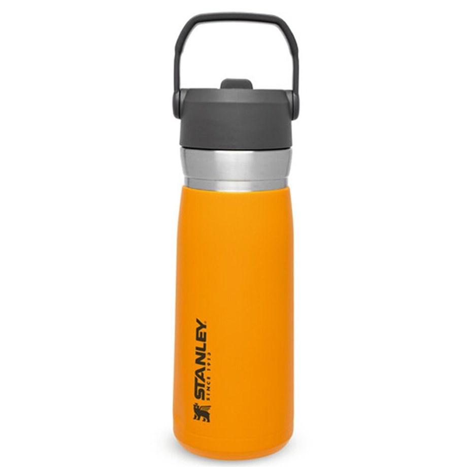 StanleyStanley GO Iceflow Pipetli Paslanmaz Çelik Soğuk Su Termosu 0.65 LT10-09697- 010