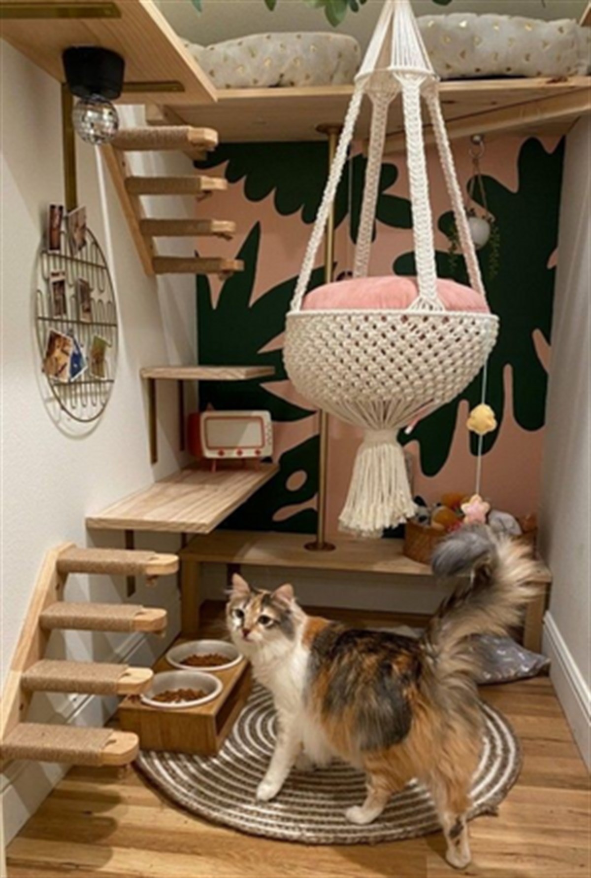 Kedi Salıncağı (MİS3800K2)