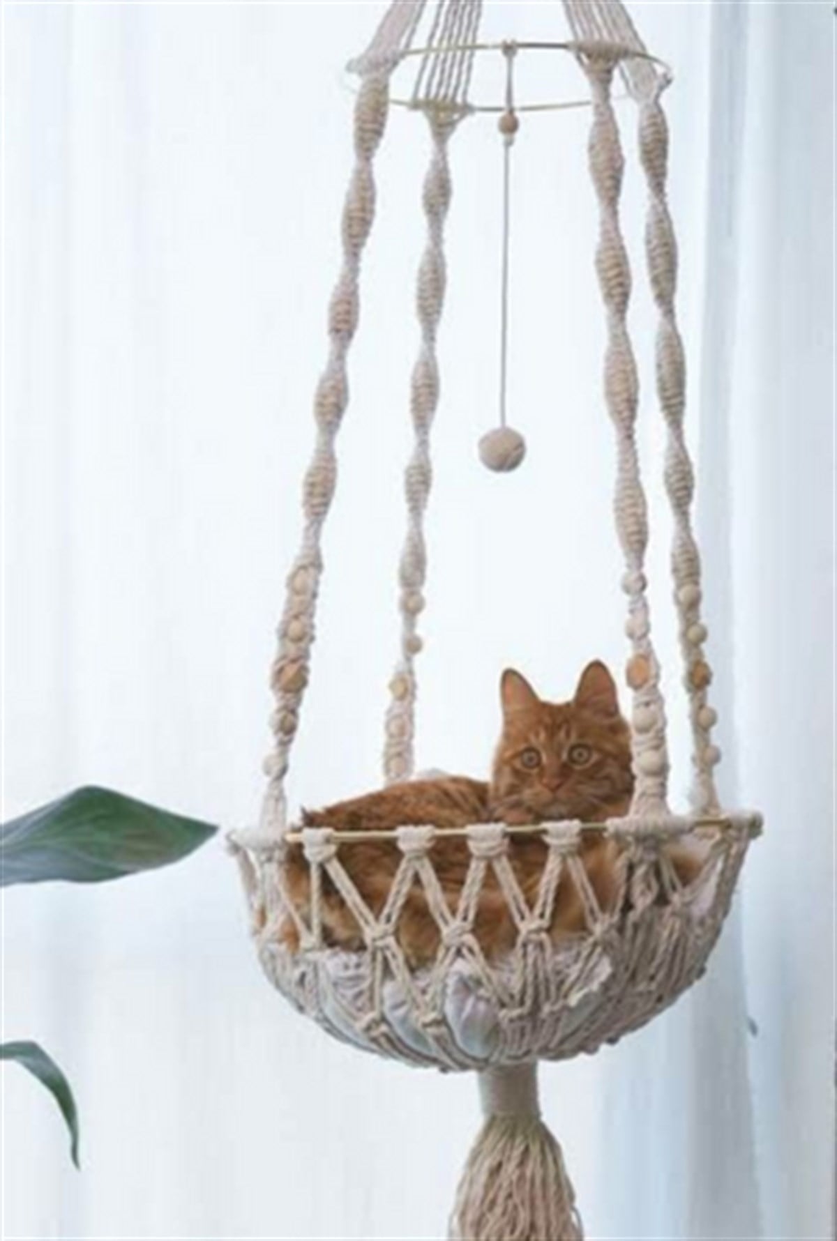 Kedi Salıncağı (MİS3800K1)