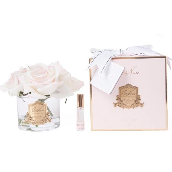 Cote Noire - 5 Güllü Ekru Gold Koku