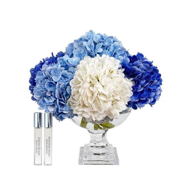 Cote Noire - Provence Mavi & Silver Ortanca Koku M