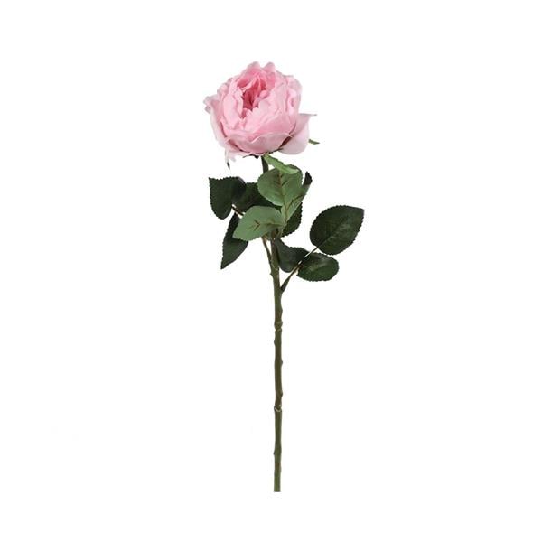 HK - Şakayık Dal Pembe