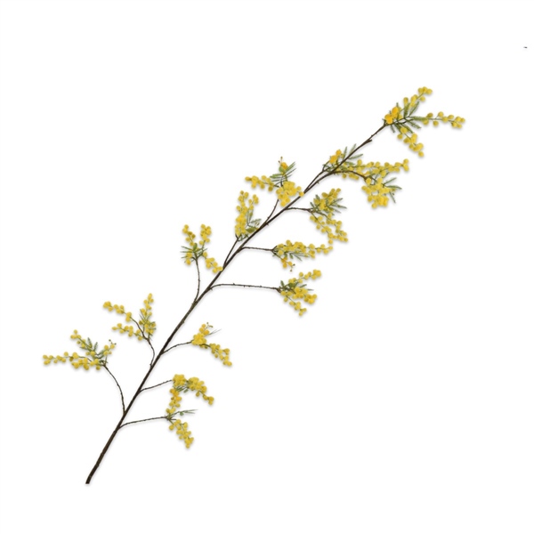 Silkka - Mimosa Yellow 165 Cm