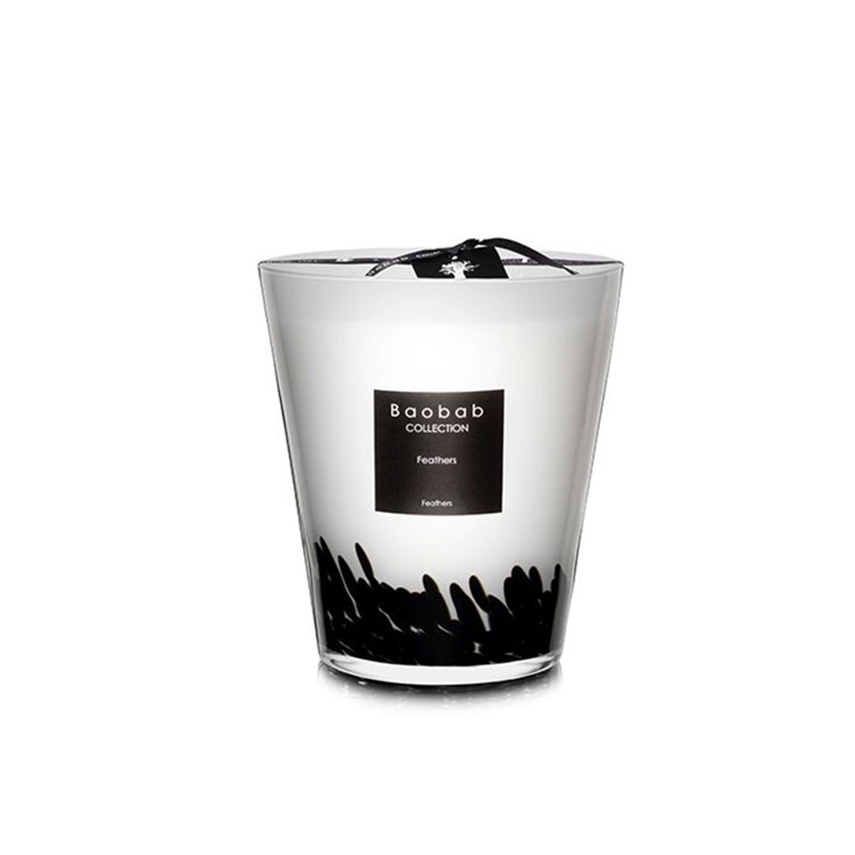 baobab-collection-max-16-