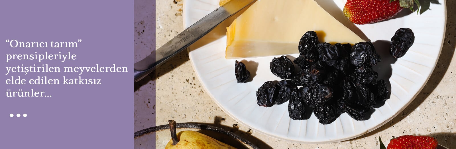Onarıcı Tarım Prensipleri