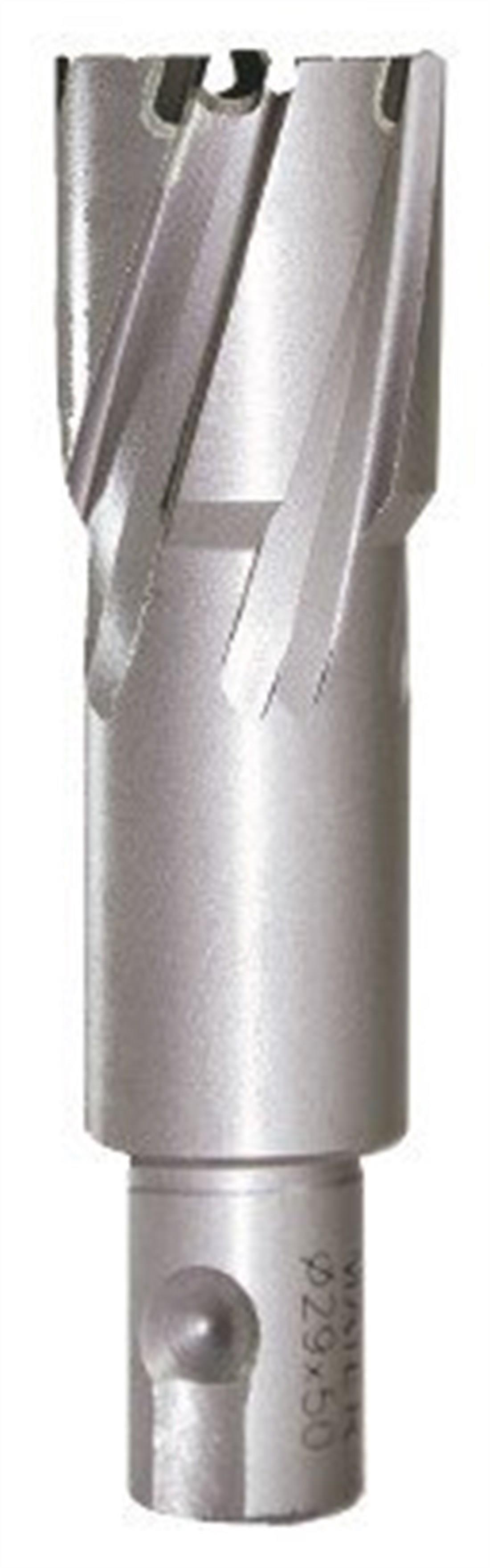 MATKAP UÇLARIMAİER012.02.0879MAIER DELME UCU ELMAS UNV.SAP 50*24 MM MDTC5024MAIER DELME UCU ELMAS UNV.SAP 50*24 MM MDTC5024