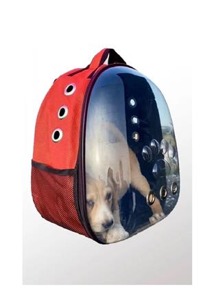 AKSESUAR VE BAKIM ÜRÜNLERİMUHTELİF017.03.0031ASTRONOT KEDİ ÇANTASIASTRONOT KEDİ ÇANTASI