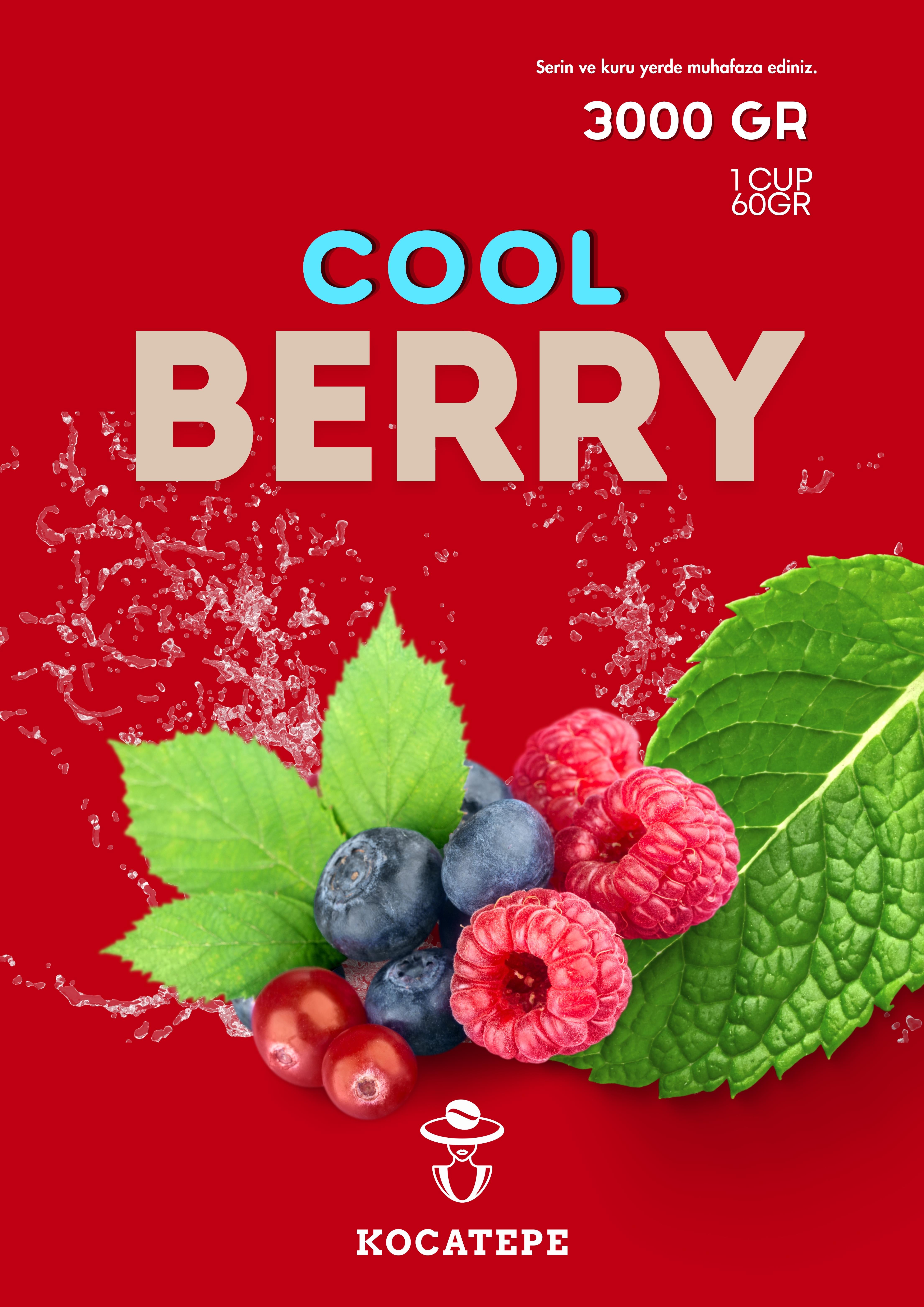 ÖZÜT-COOL BERRY 3000 GR
