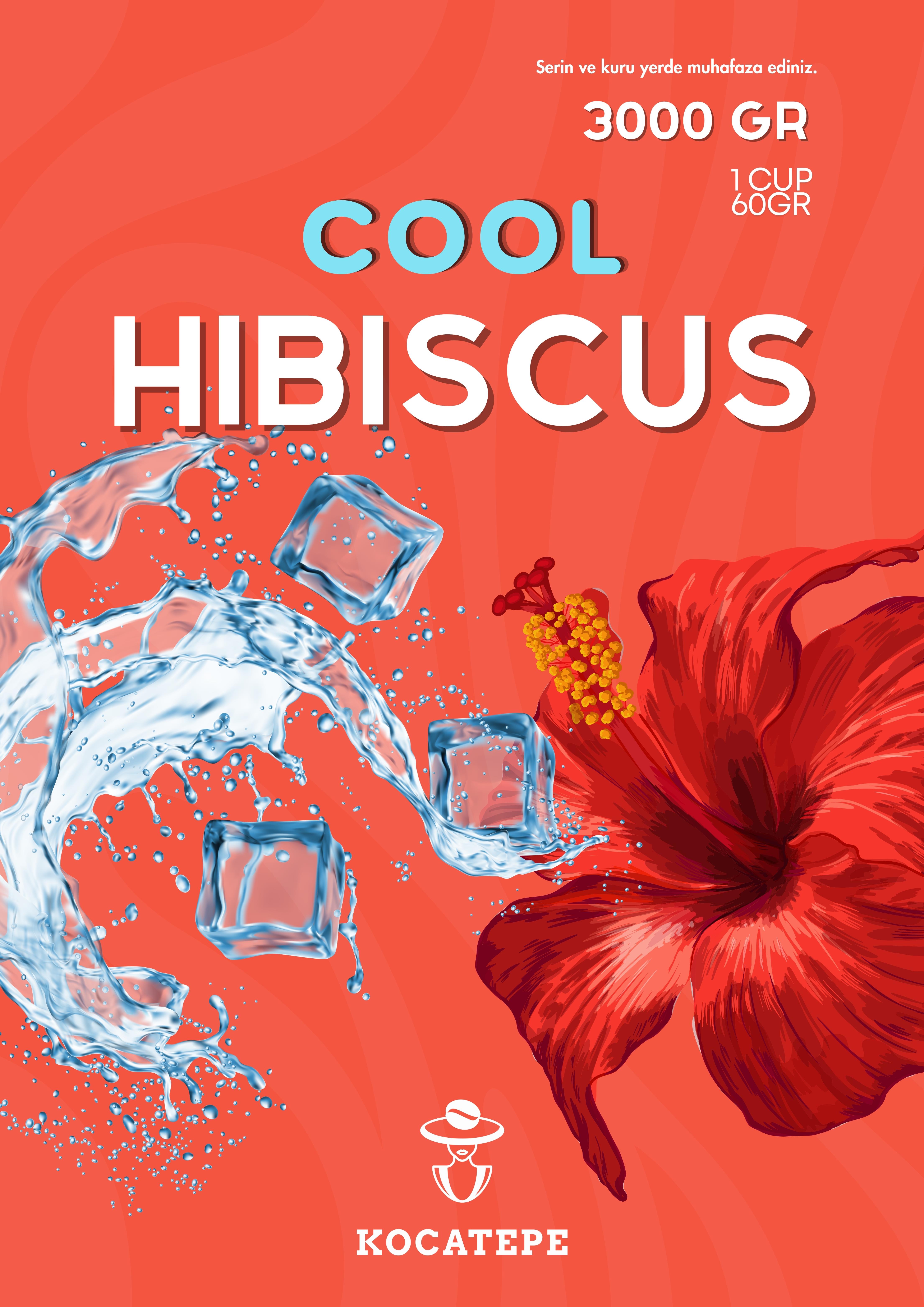 ÖZÜT-HIBISCUS 3000 GR
