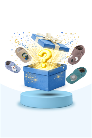 MAMUL/AYAKKABI/PATİK/TEKSTİL/DOĞAL/BEBE/SS/2026/HOPFRÖG KIDS/ERKEK ÇOCUK AKILLI PATİK STD