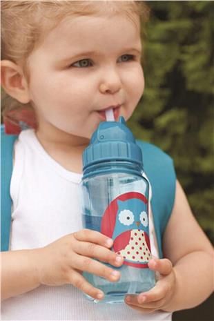 Skip Hop Zoo Pipetli Suluk Baykuş