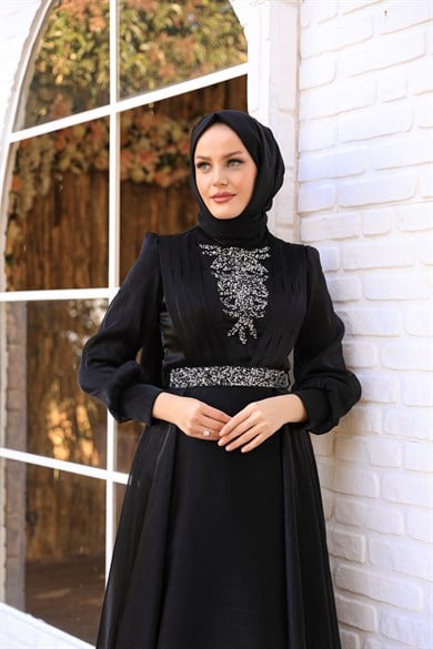 Biray Evening Dress - Black