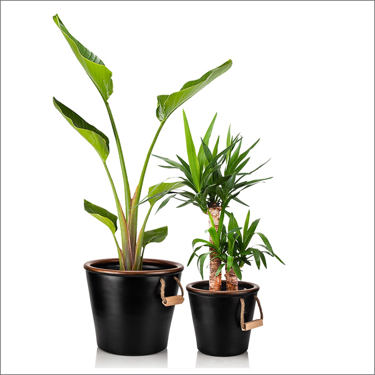 ESKİTME KULPLU SİYAH SAKSI