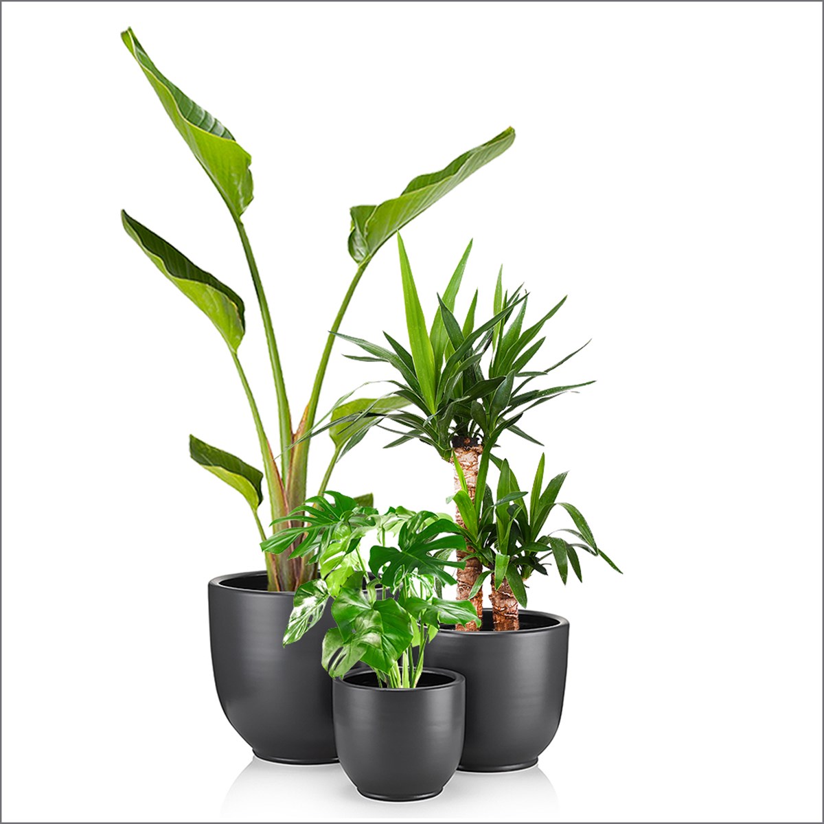 TOPRAK AKRİLİK SİYAH SAKSI