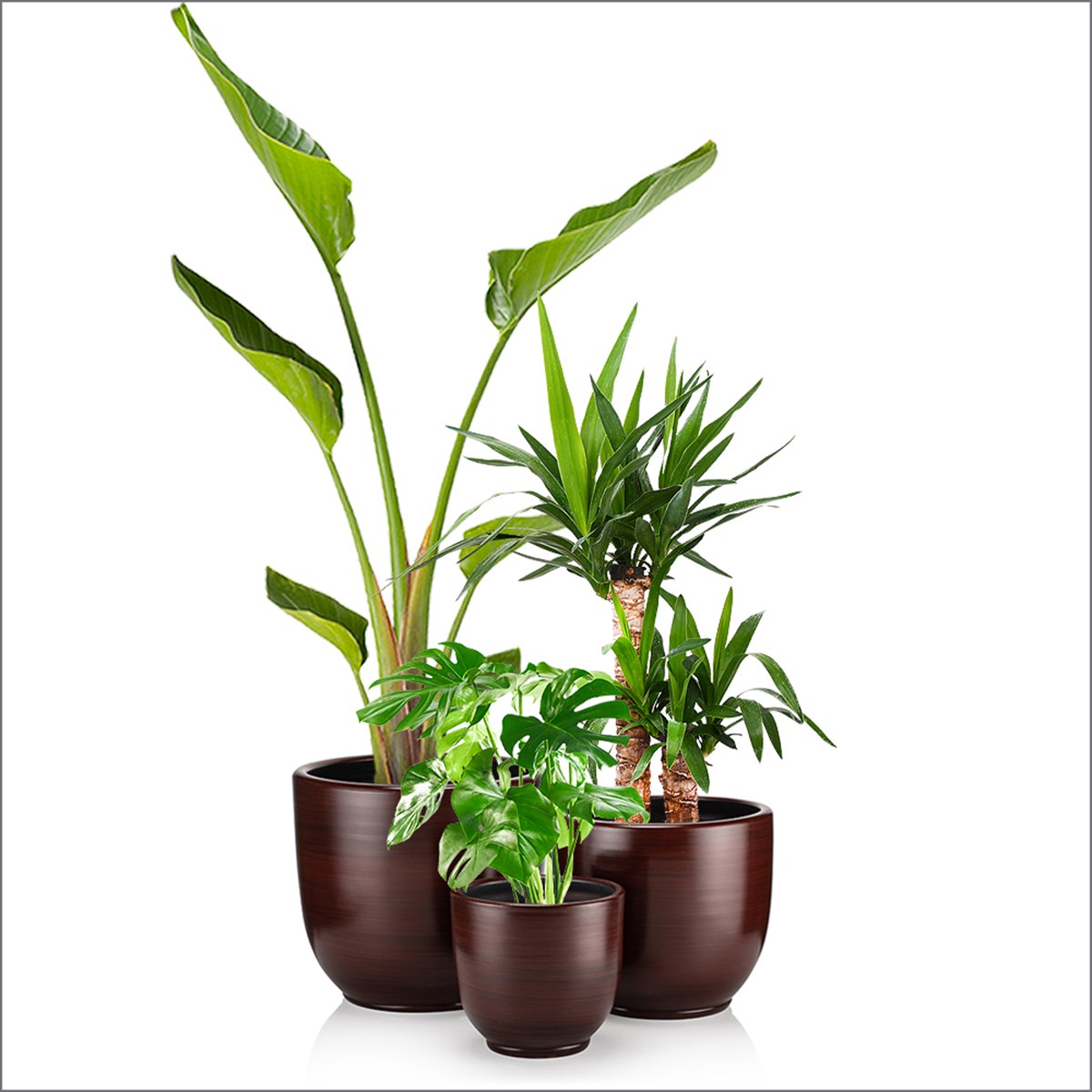 TOPRAK VENGE DESENLİ SAKSI