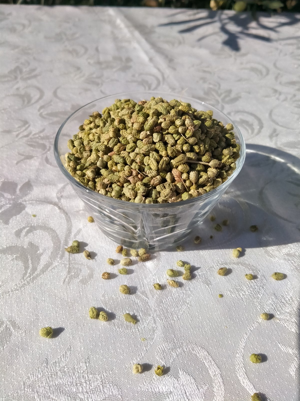 Kazdağı Kekik