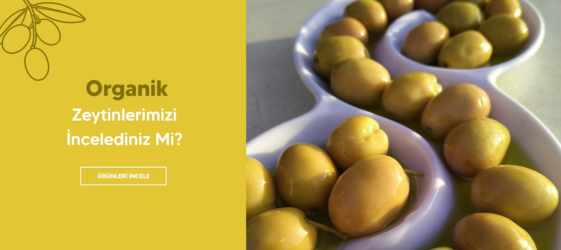 Zeytinler