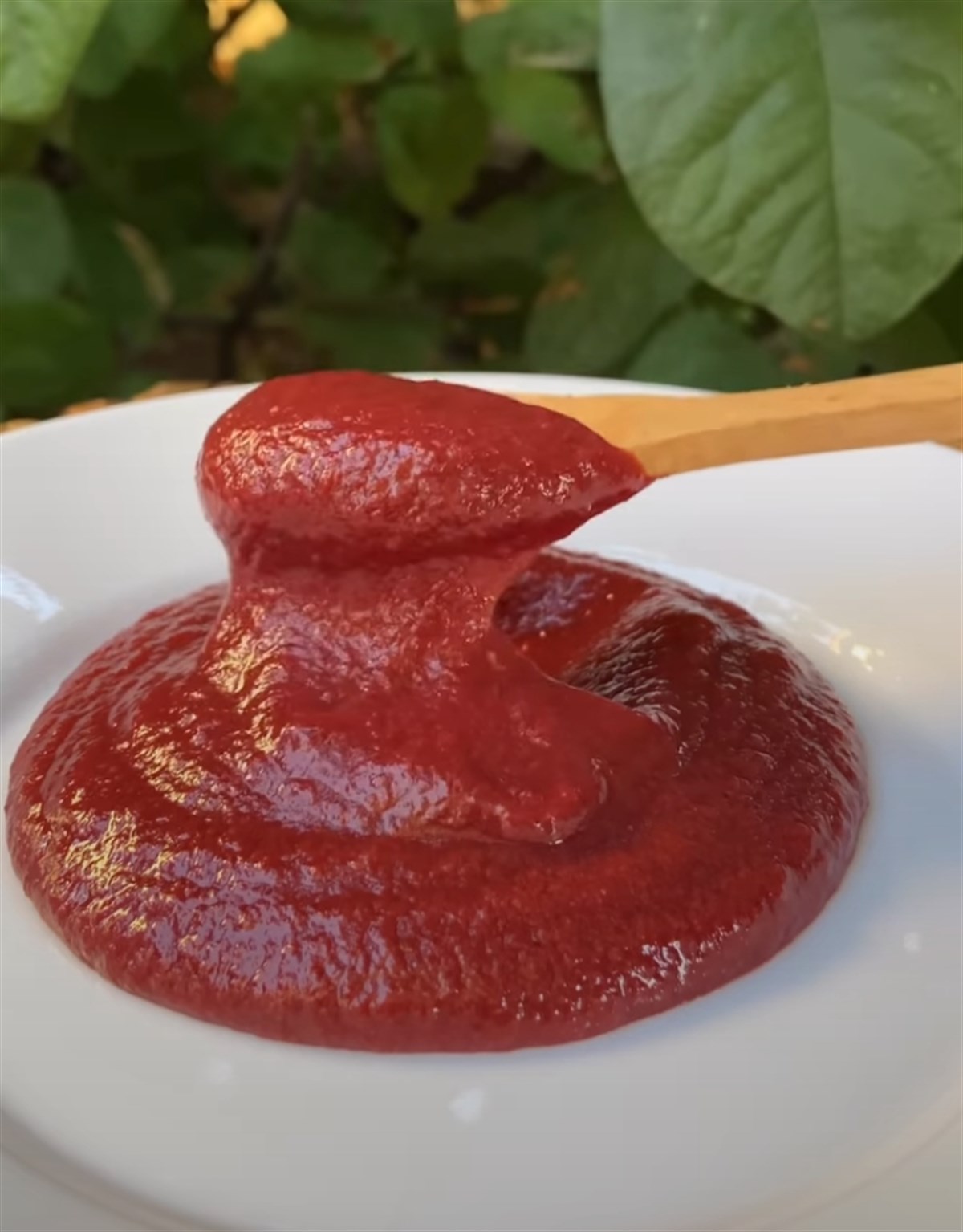 Kızılcık Marmelatı