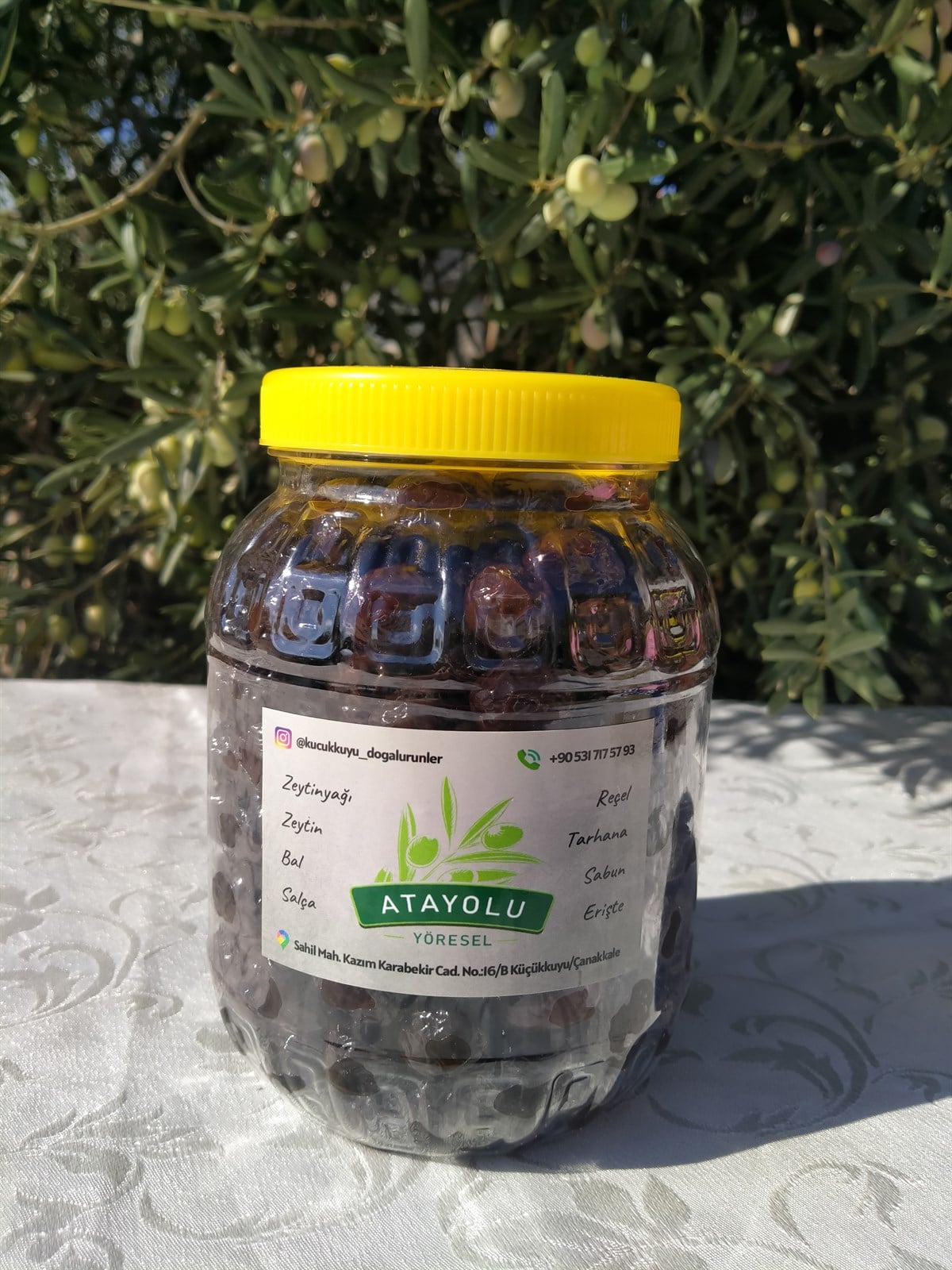 Siyah Zeytin M