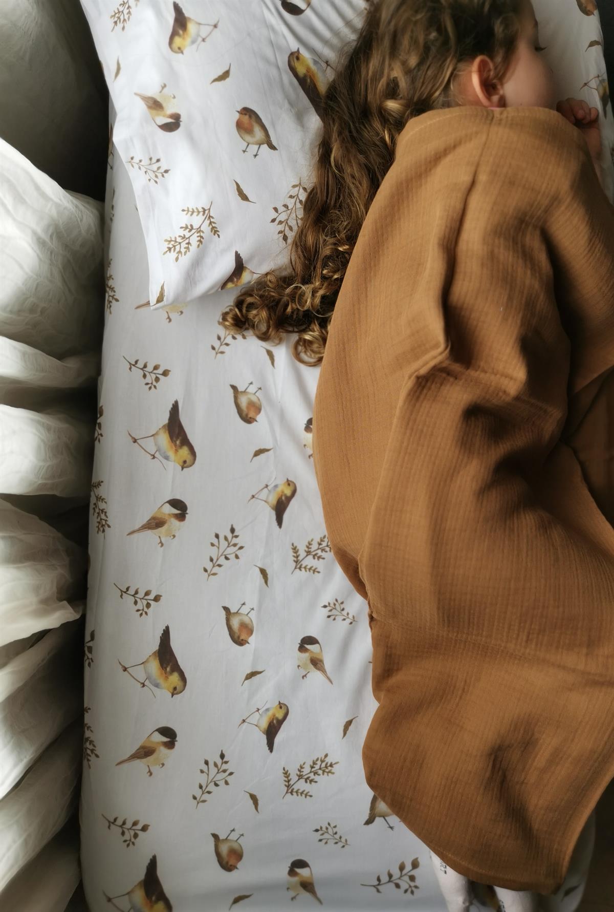 Bird Songs-Lastikli Çarşaf Takımı 70x130