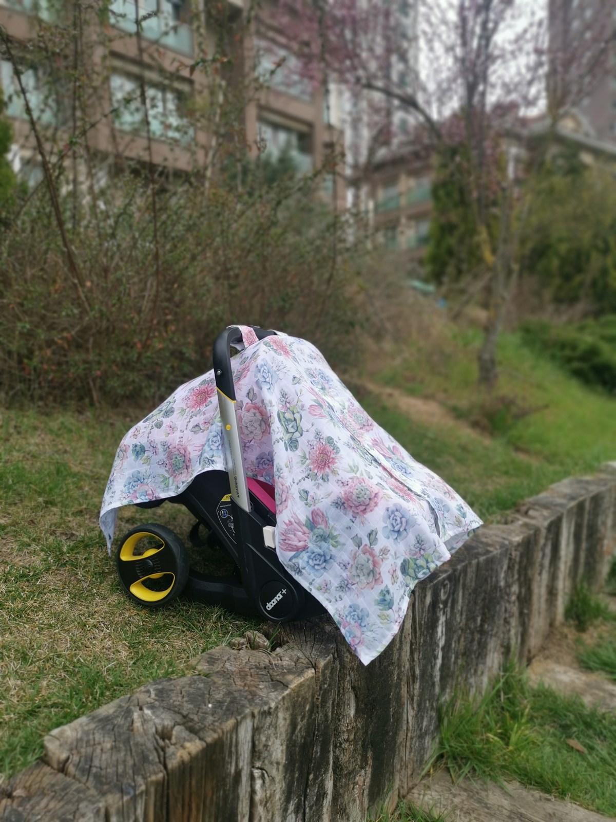 Succulent - Puset Örtüsü 78 x 108