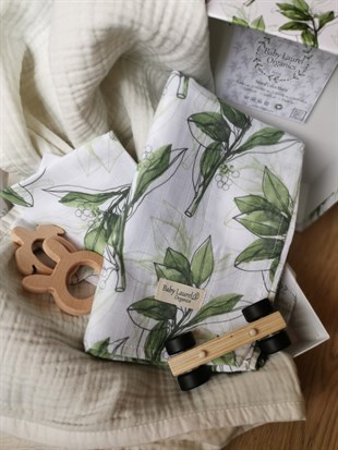 Daphne - Hediye Seti