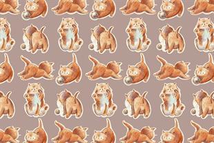 Miaw-Mama Su Kabı Matı 60x40