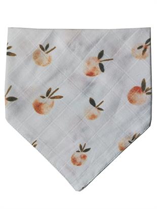 Small Sweety-2 Kat Organik Müslin Salya Önlüğü 20x35