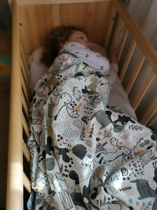 Smart Deer - Organik Müslin Örtü 80X80 2li Set