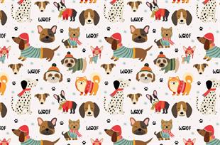 Woof-Mama Su Kabı Matı 60x40
