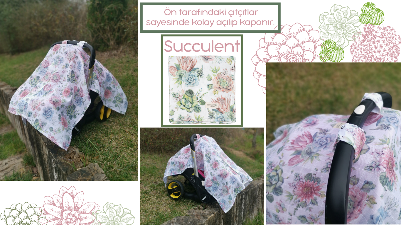 Succulent Puset Örtüsü