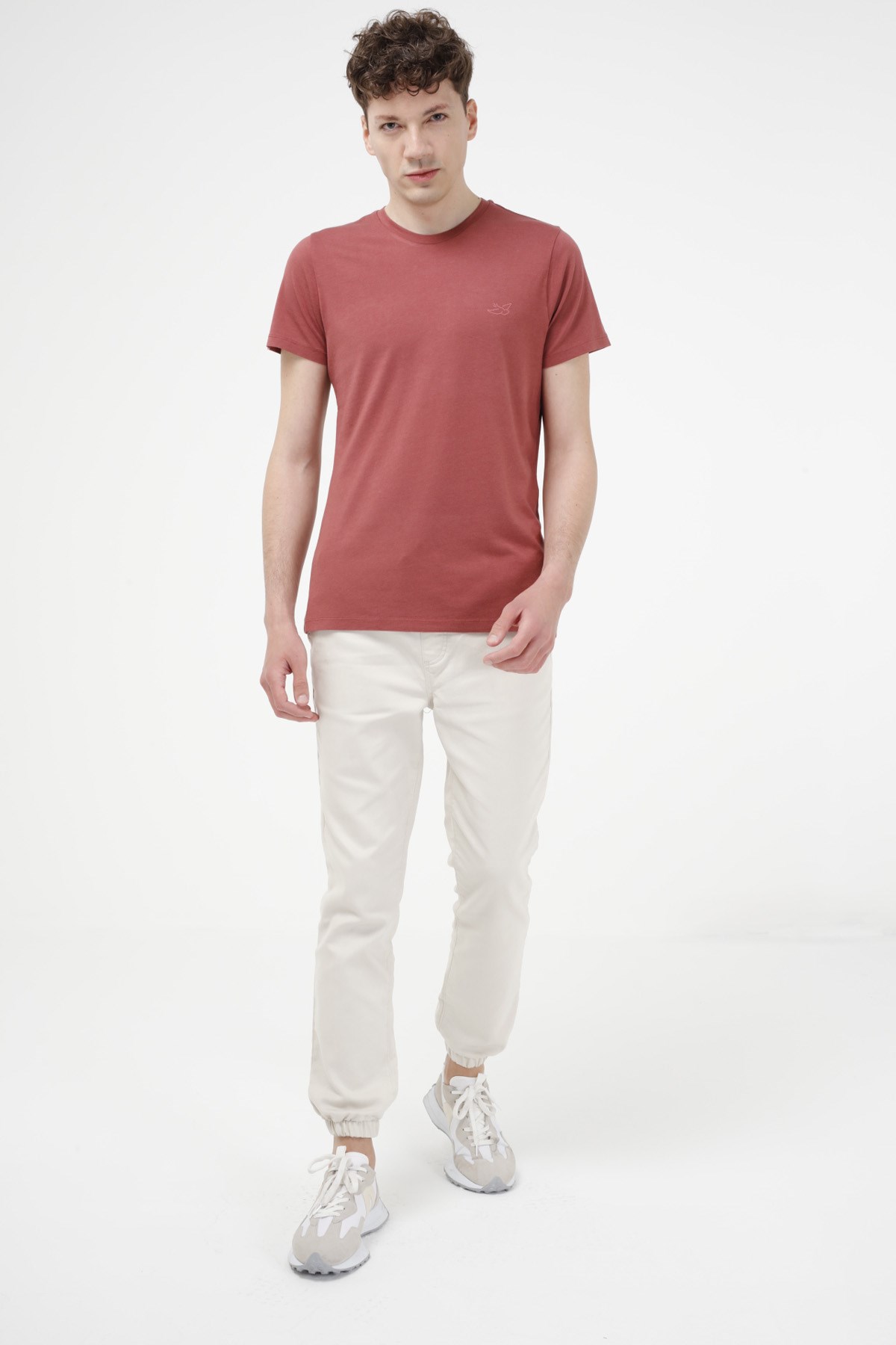 BRZ Collection Erkek Modal T-shirt