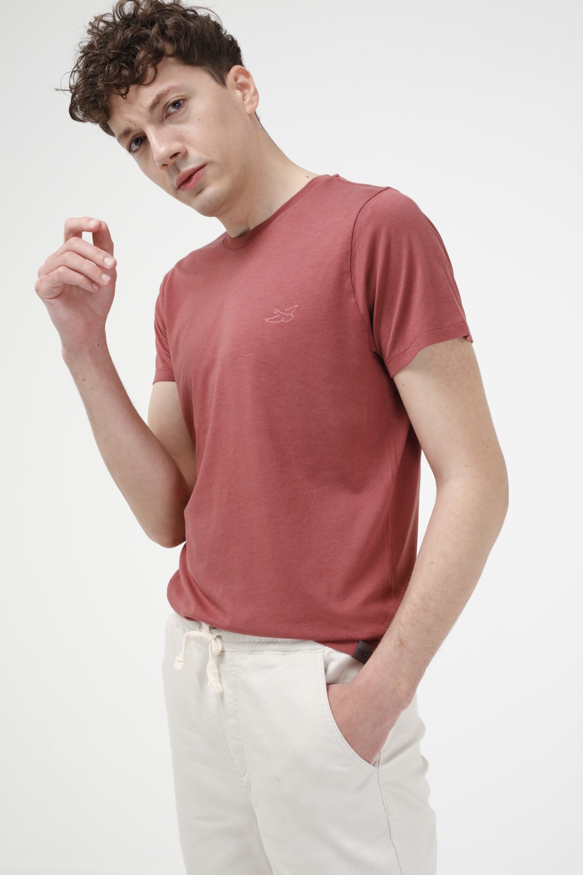 BRZ Collection Erkek Modal T-shirt