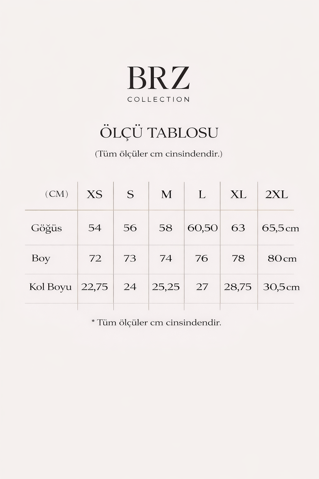BRZ COLLECTION Oversize Somon T-Shirt – Make Some Waves Arka Baskılı Unisex