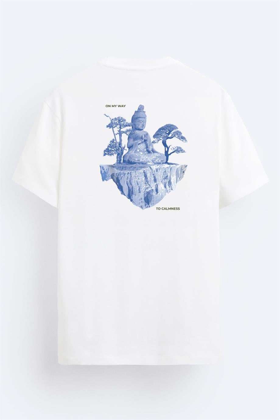 BRZ Collection Unisex FloatingIsland Buddah Regular Fit T-shirt