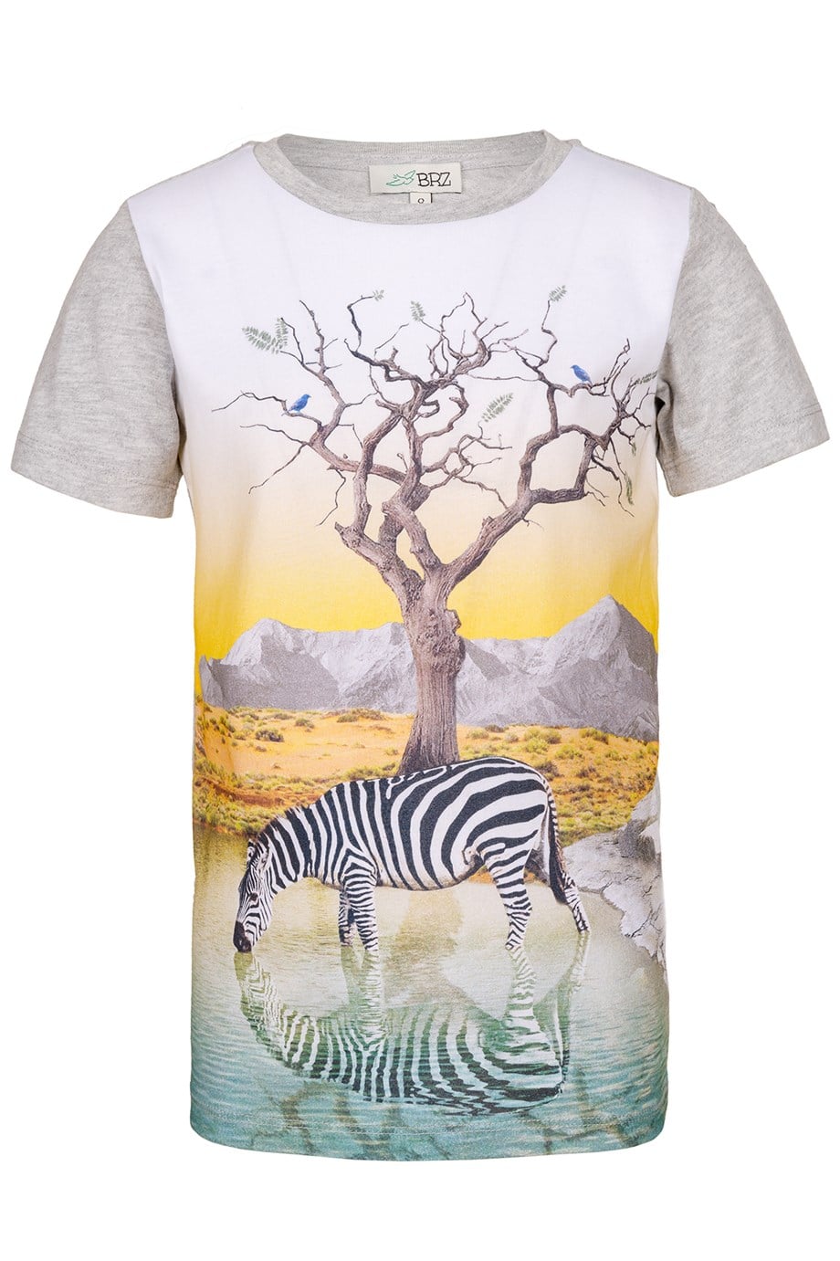 BRZ Kids Baskılı Erkek Çocuk Kısa Kollu T-shirt