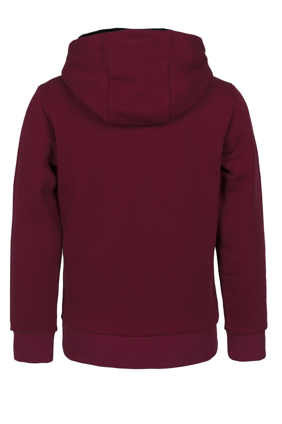 BRZ Kids Kaplan Baskılı Erkek Çocuk Kapüşonlu Sweatshirt