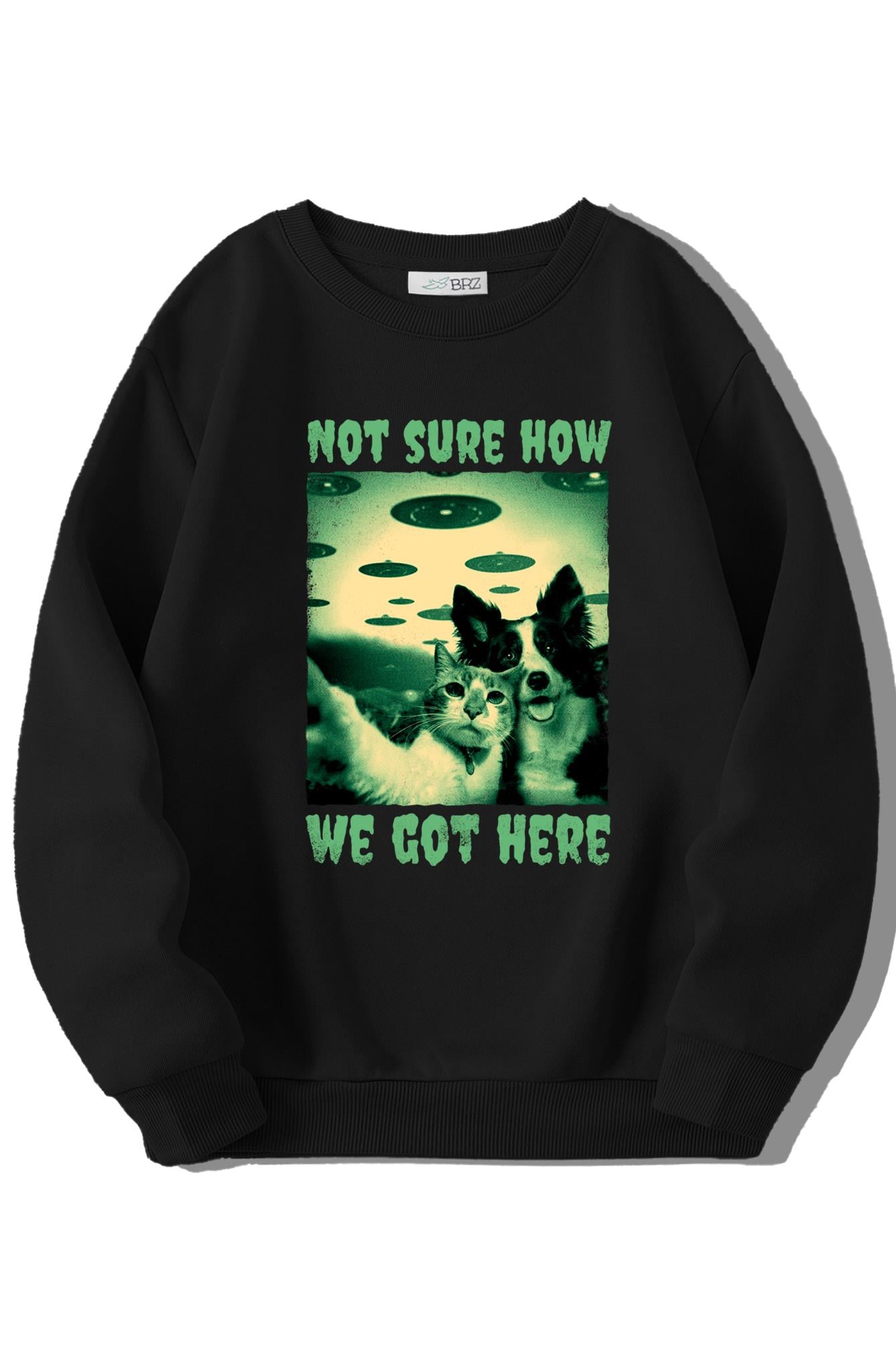 BRZ Kids Unisex Çocuk Cat and Dog Selfie Sweatshirt