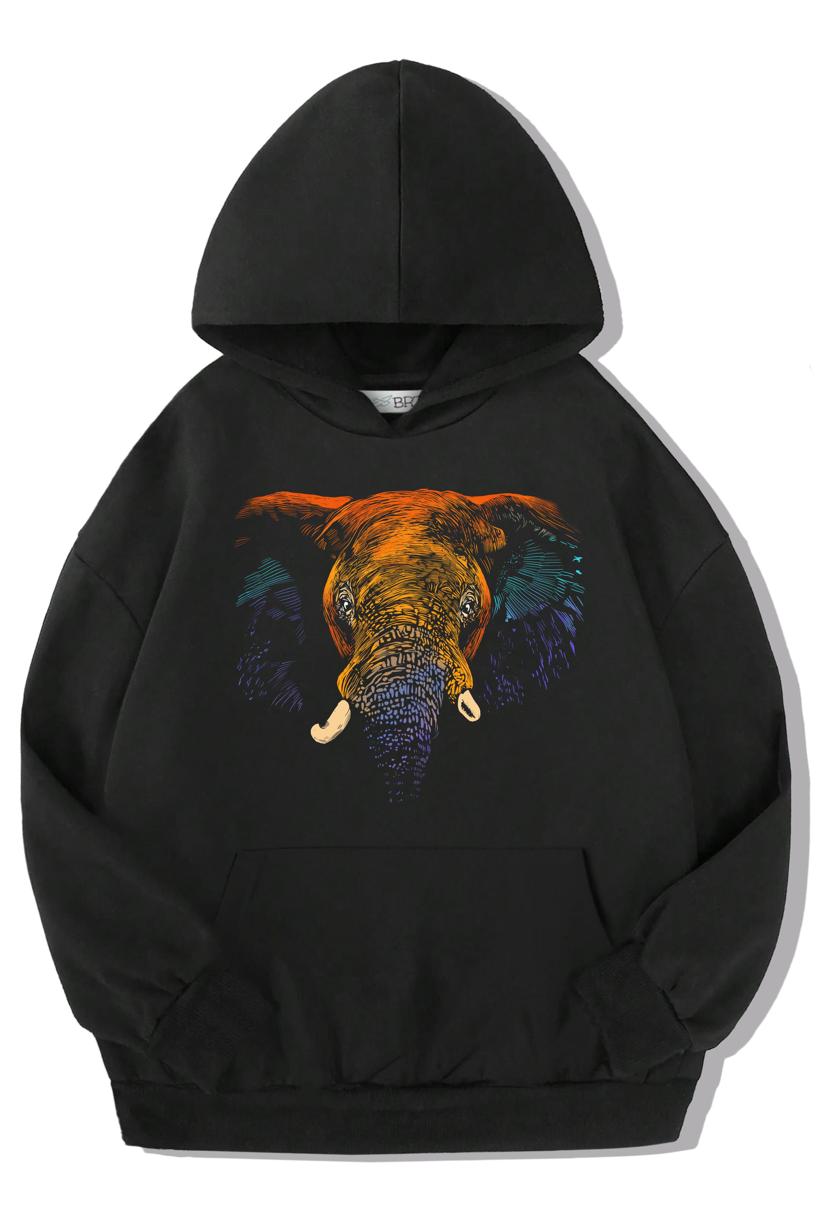 BRZ Kids Unisex Çocuk Colorful Elephant Hoodie