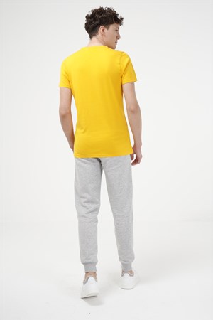 BRZ Collection Erkek Modal T-shirt