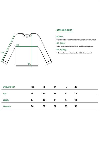 BRZ Collection Unisex Oversize Travel Sweatshirt